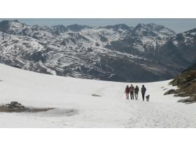 photo coins arrondis